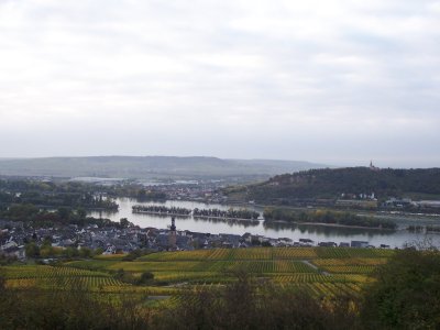 ruedesheim-von-oben.jpg