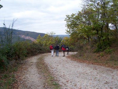 weg-nach-lorch.jpg