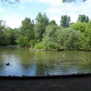 Gazen Salts Nature Reserve