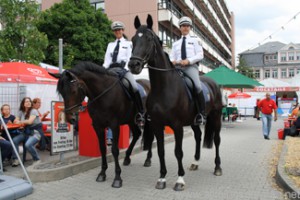 Lara (l) and Filou (r) with their riders at the Hessentag in Oberursel