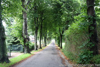 A leafy avenue from the car park to the market square in Bergen auf Rügen