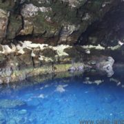 Jameos del Agua & Cueva de los Verdes