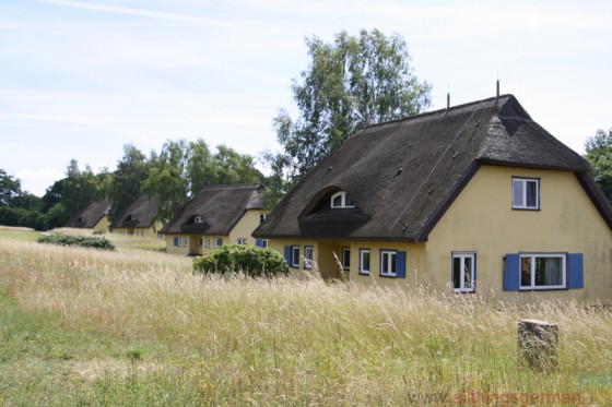 The houses on Vilm, once the holiday homes of the GDR leaders, now home to nature conservationists.