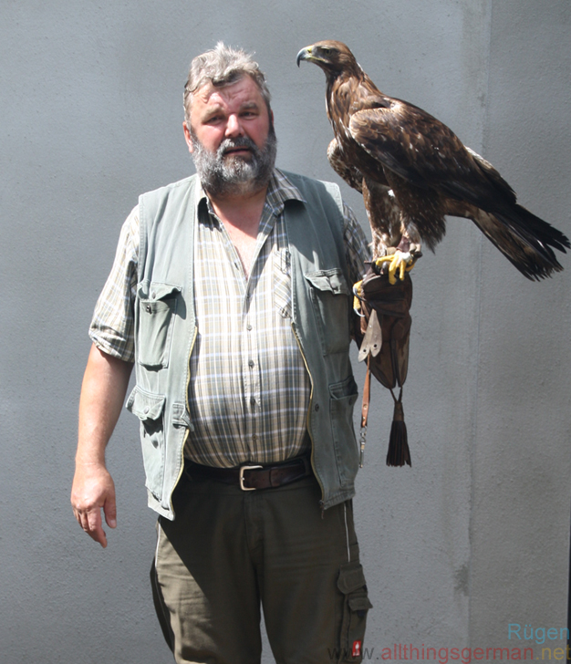 Störtebeker's Falconer Falker Walter What's On