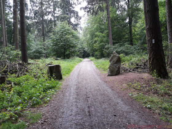 The track leading up to the tower