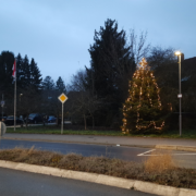 The Apfelpark in Oberstedten early one evening