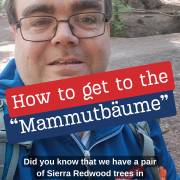 How to find the “Mammutbäume”