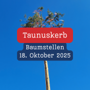 Taunuskerb: putting up the tree