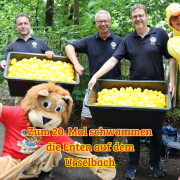Zum 20. Mal schwammen die Enten auf dem Urselbach