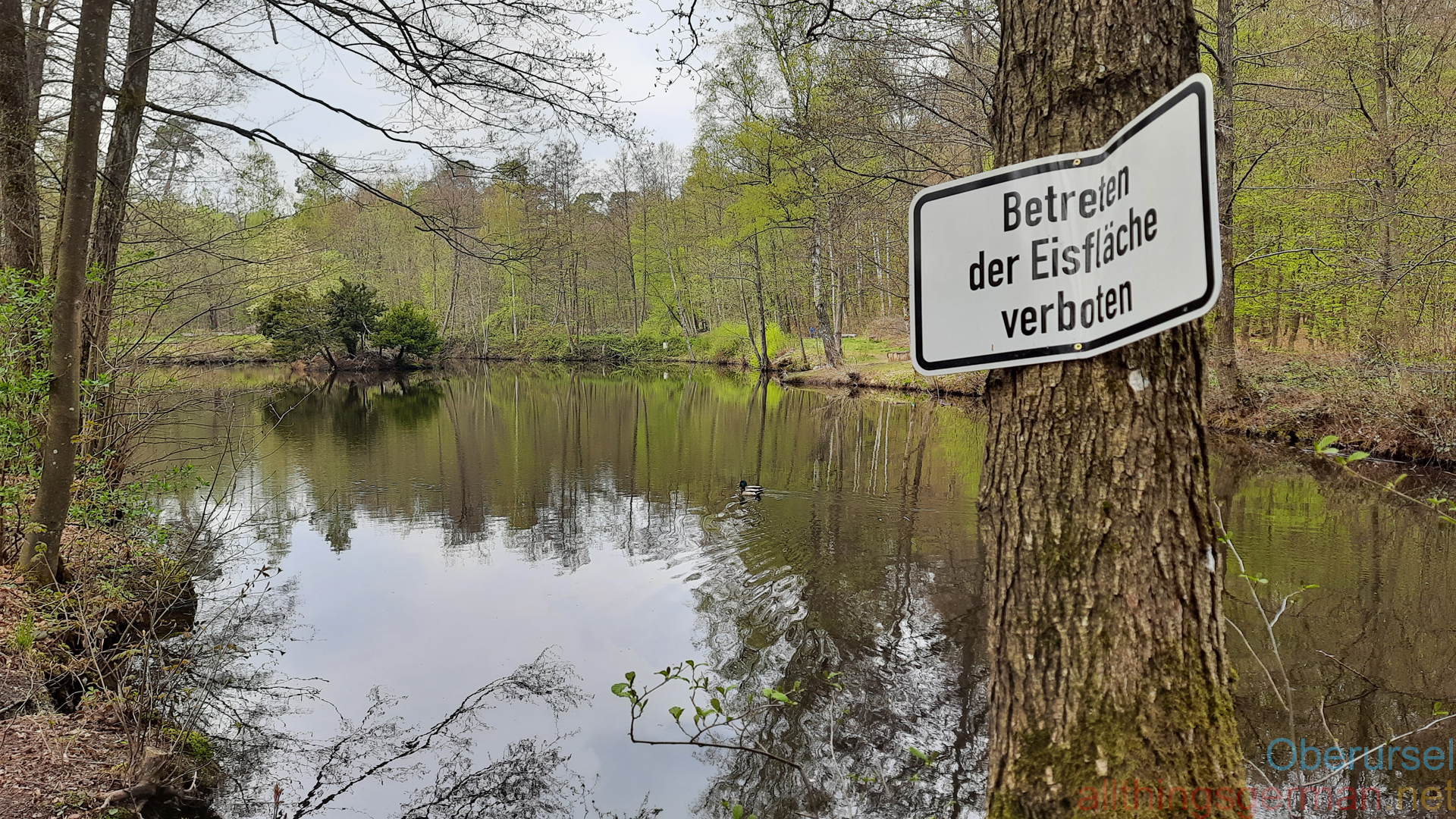 Franzoseneck, Oberursel