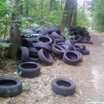 Tyres that have been dumped illegally in the Käsbachtal (Photo: Stadt Oberursel)