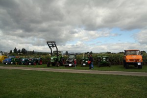 Classic tractors on show at the maize maze