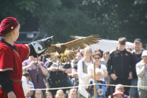 8th Oberursel Feyerey - 6th August, 2016 (Birds of Prey)