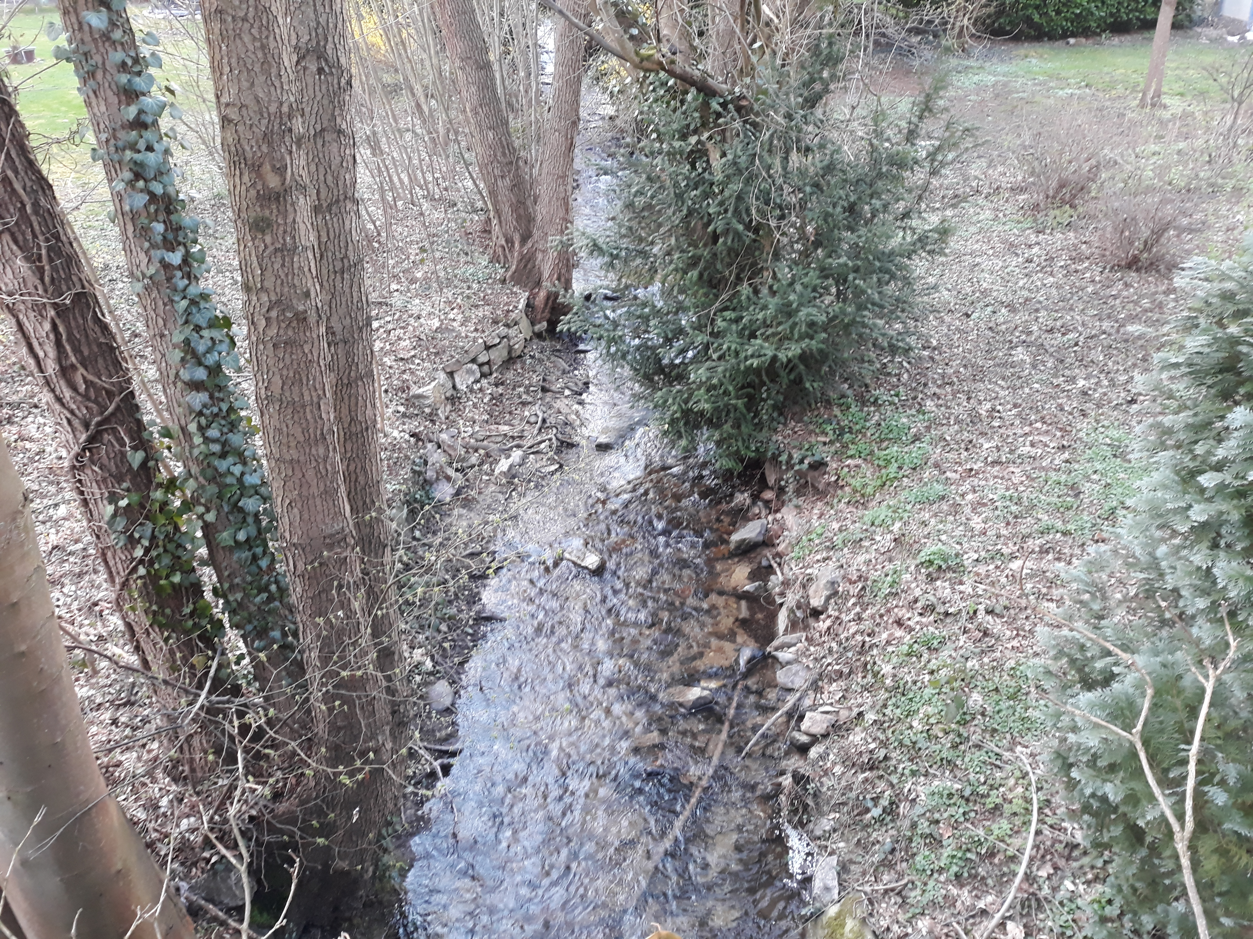 The Urselbach, between the Hohemarkstraße and the Kupferhammer weg.
