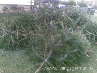 Christmas Trees waiting to be collected